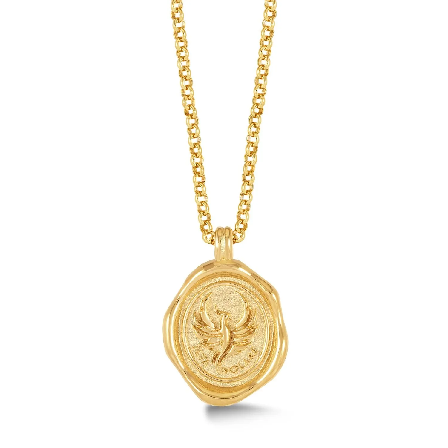 Men's 'Fly High' Phoenix Talisman Necklace